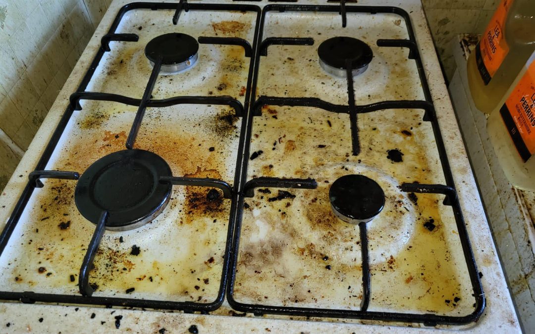 Oven Cleaning-Before